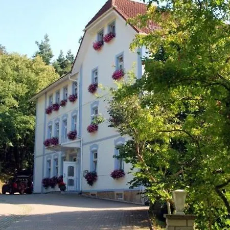 Waldhotel & Restaurant Bergschlosschen 3*