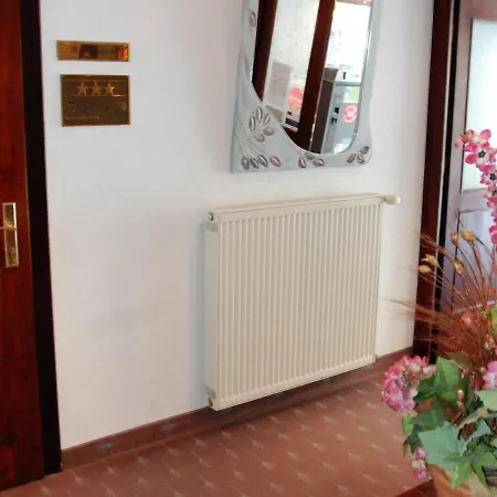 山间小屋森林酒店及餐厅 3* 黑茨多夫