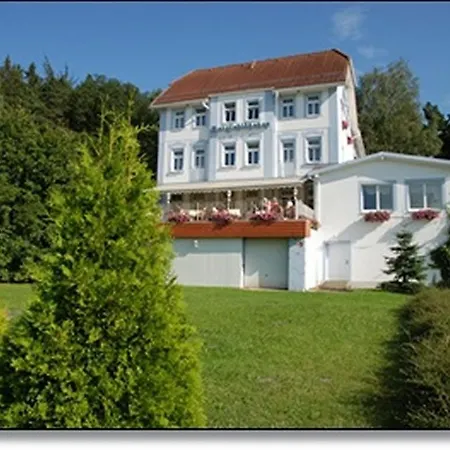 山间小屋森林酒店及餐厅 黑茨多夫