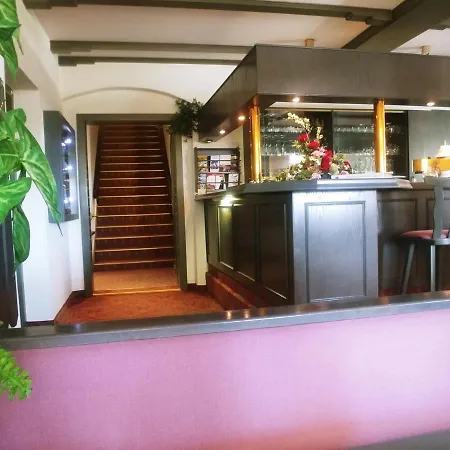 Waldhotel & Restaurant Bergschlosschen Отель 3*