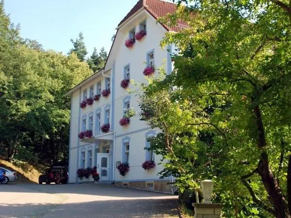 Waldhotel & Restaurant Bergschlosschen 3*